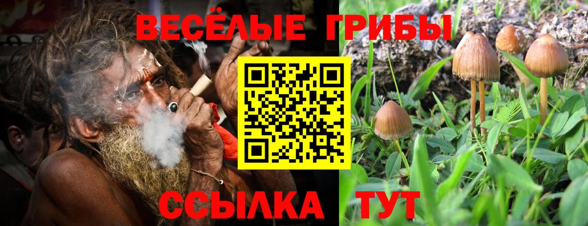 Галлюциногенные грибы мицелий Котлас