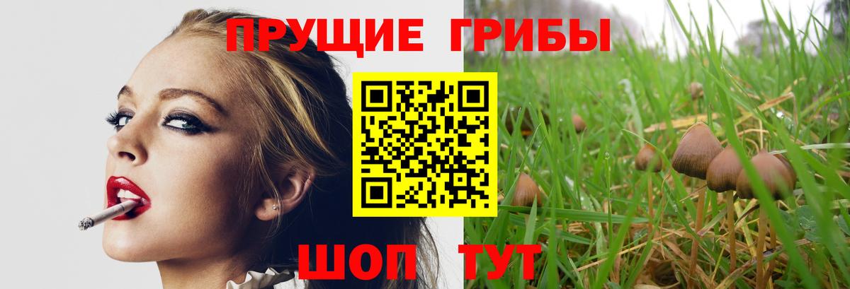 Котлас  Псилоцибиновые грибы GOLDEN TEACHER  Вход с VPN  Псилоцибиновые грибы Cubensis 